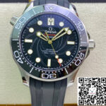 Omega Seamaster Diver 300M 210.22.42.20.01.004 OR Factory Rubber Strap
