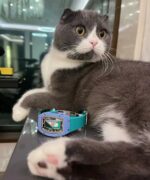 Richard Mille RM07-01 bon bon Series - Image 9