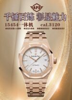 Audemars Piguet Craftsmanship Craftsmanship. Craftsmanship Craftsmanship
