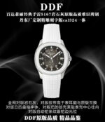 DDF Factory Patek Philippe Aquanaut - Image 5