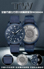 TW Factory IWC Pilot - Image 4