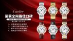 Cartier Ballon Bleu 96mm - Image 3