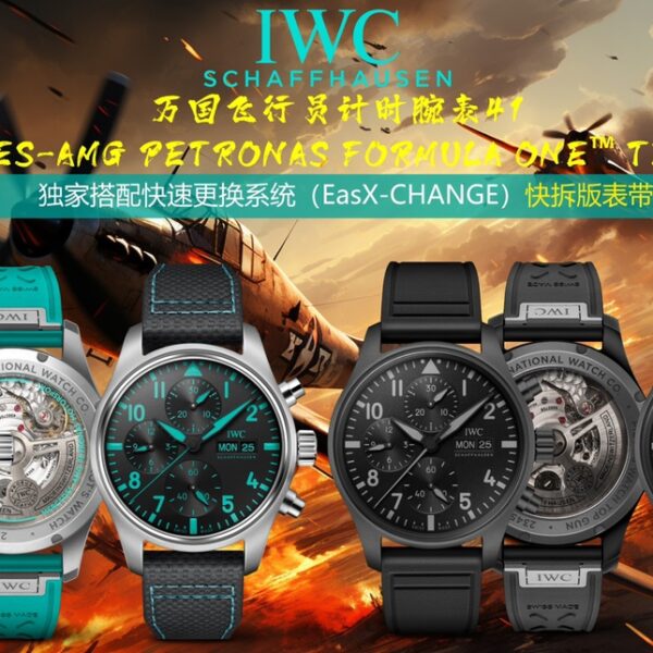 TW Factory IWC Pilot