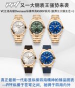 PPF Factory Vacheron Constantin Overseas - Image 2