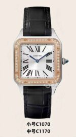 AF Factory Cartier Santos