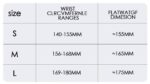 Chanel Premier Black Dial 15.2mm Ladies' - Image 9